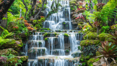 Wallpaper:8vmm4iszwd8= Waterfall