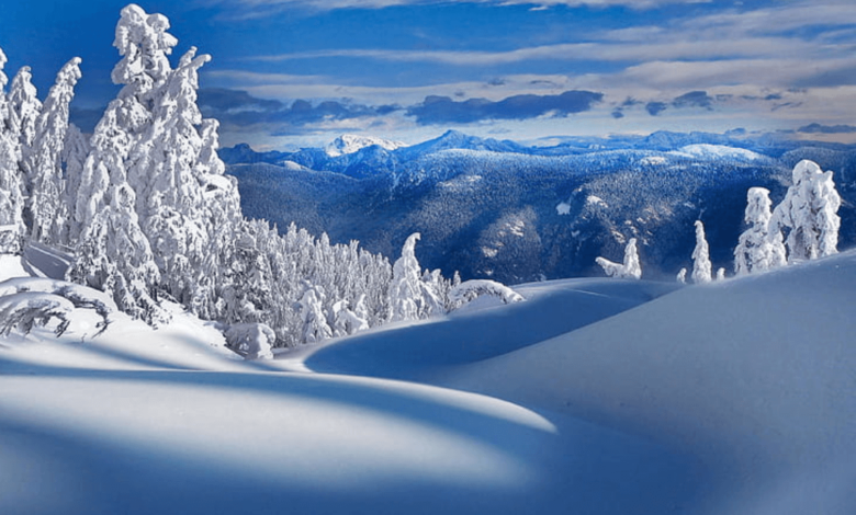 Beautiful:Wzgnchzzvmm= Wallpaper:2wpqiydlzfc= Winter
