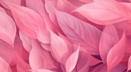 Pink Wallpaper:Rqjxfrq-_8g= M Wallpaper