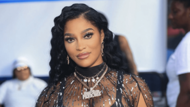 Joseline Net Worth