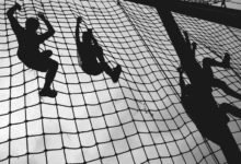 network assurance contact numbers