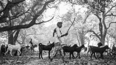 business environment analysis summary