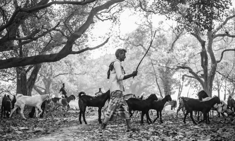 business environment analysis summary