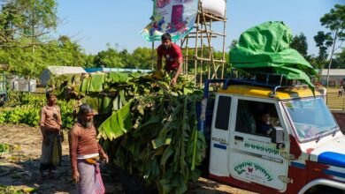 business landscape evaluation report