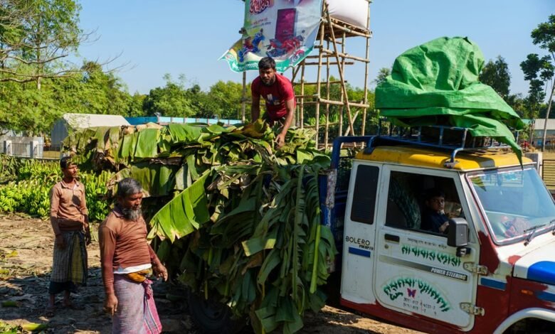 business landscape evaluation report