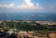 commercial landscape analysis report