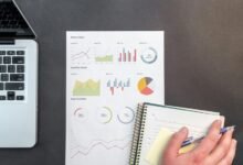 organizational data summary provided