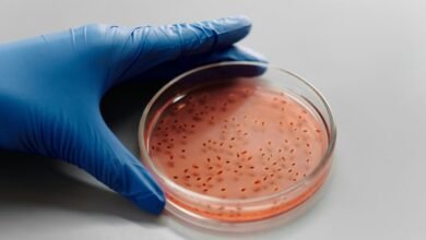 sector growth analysis tools